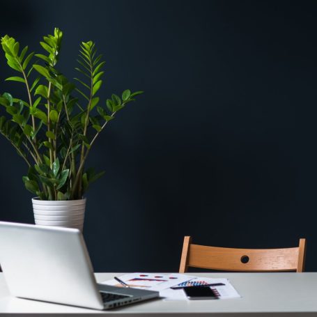 Your Strategic HR Partner creating a calm environment